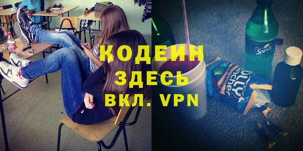 хмурый Кодинск