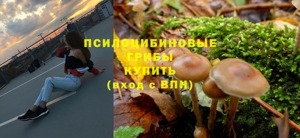 мдпв Кинешма