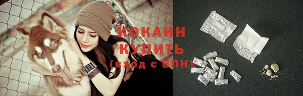 гидра Киренск