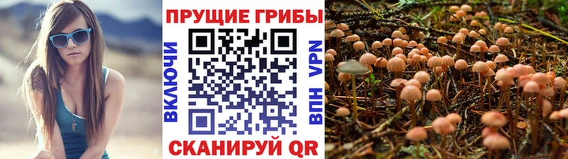 Купить где  Заозёрный  Псилоцибиновые грибы мухоморы 